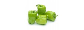 Hibrit F1 Dolma Biber Tohumları